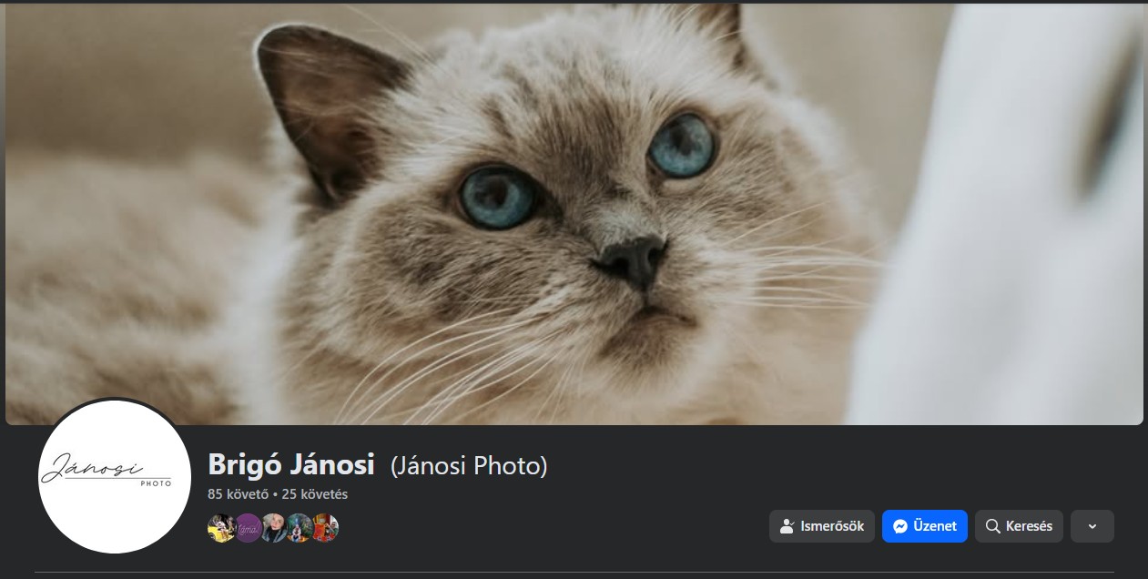 Jánosi Photo logó