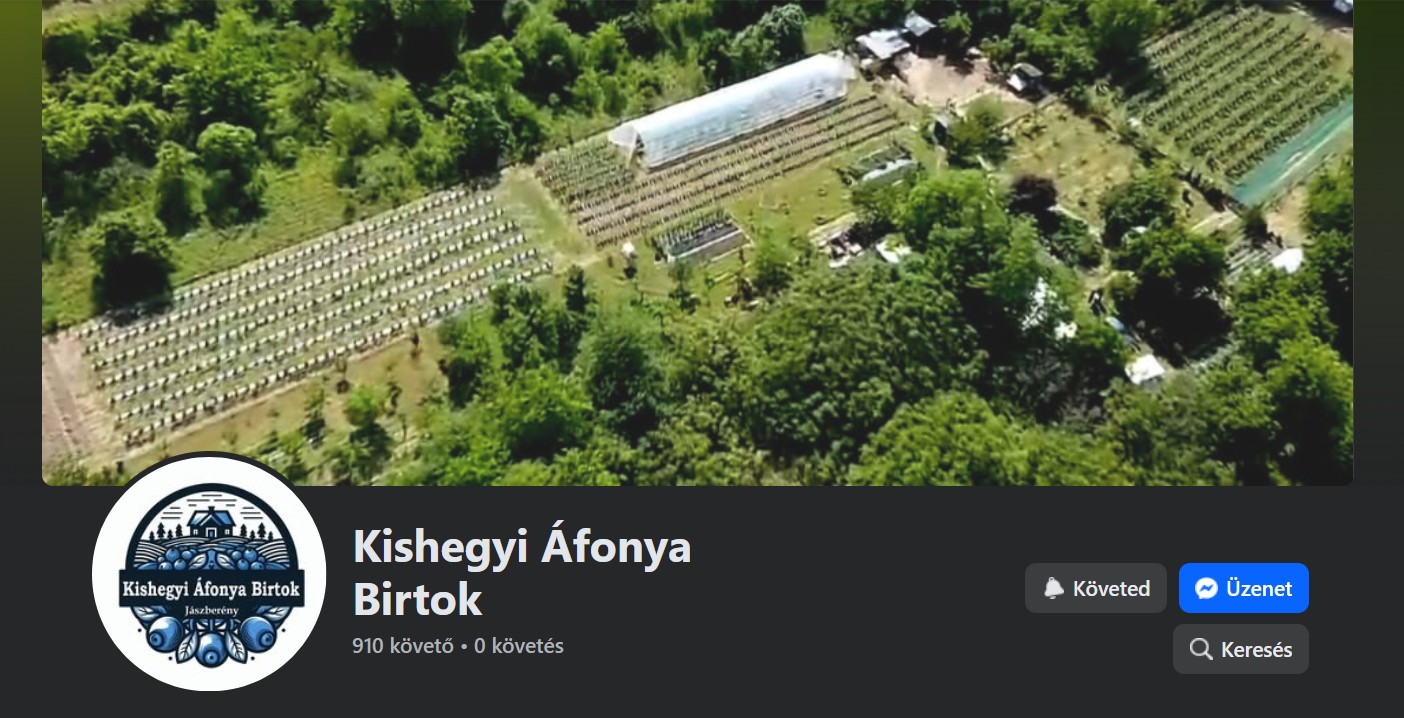 Kishegyi Áfonya Birtok logó